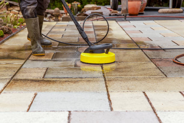 Animal Enclosure Cleaning in Lake Leann, MI